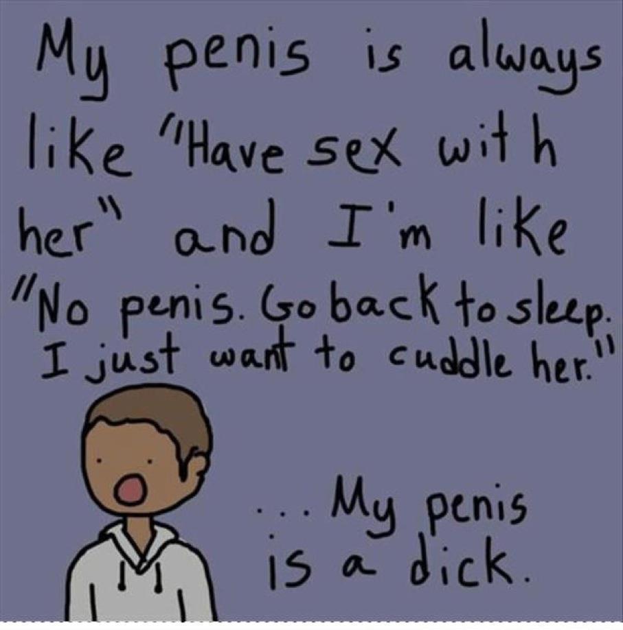 Penis is a dick - meme