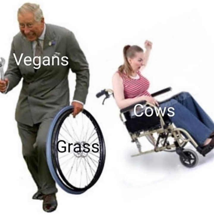 Dam vegans - meme