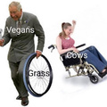 Dam vegans