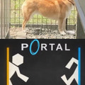 Portal is amazing