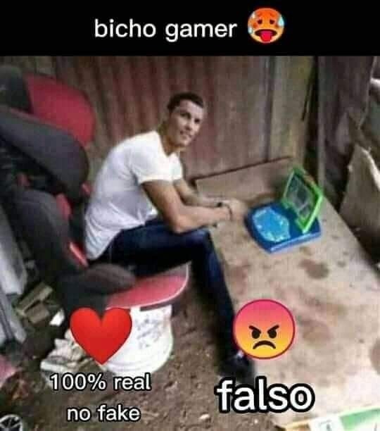 Bicho gamer - meme