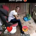 Bicho gamer