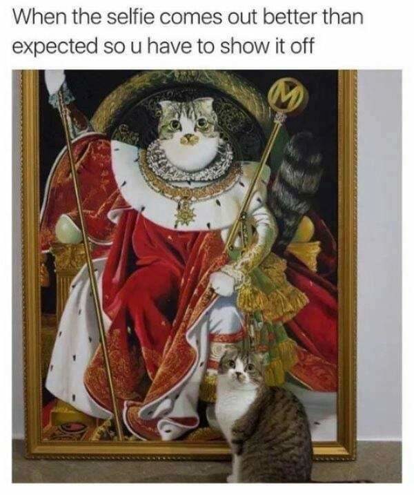 Cat lord - meme