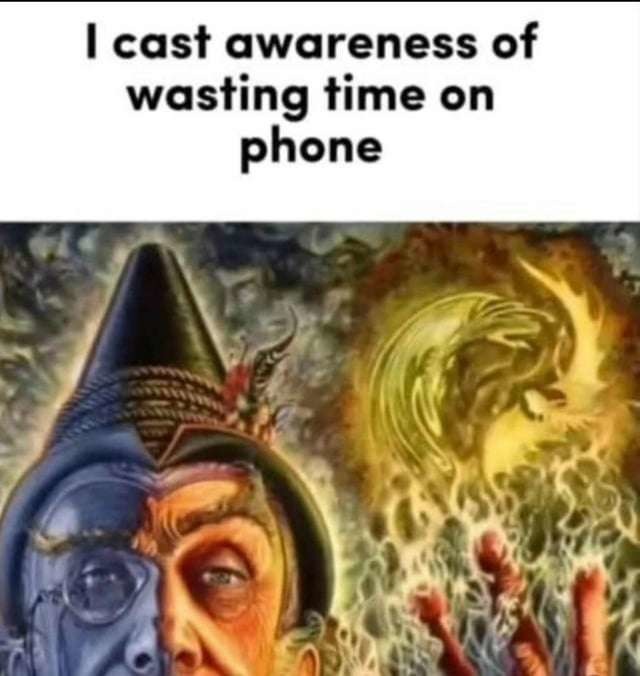 Do your language lessons! - meme