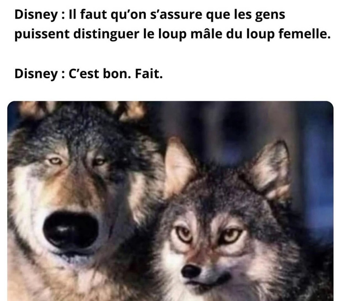 Disney en mode : faut qu’on capte direct le genre du loup - meme