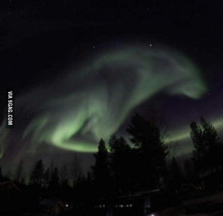 Northern lights in Sweden! Looks like a wolf - meme