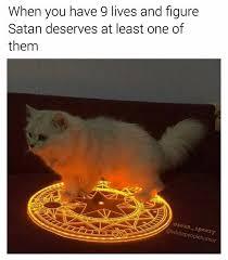 Demonic cat - meme