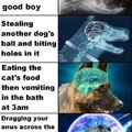 Doggo Supreme
