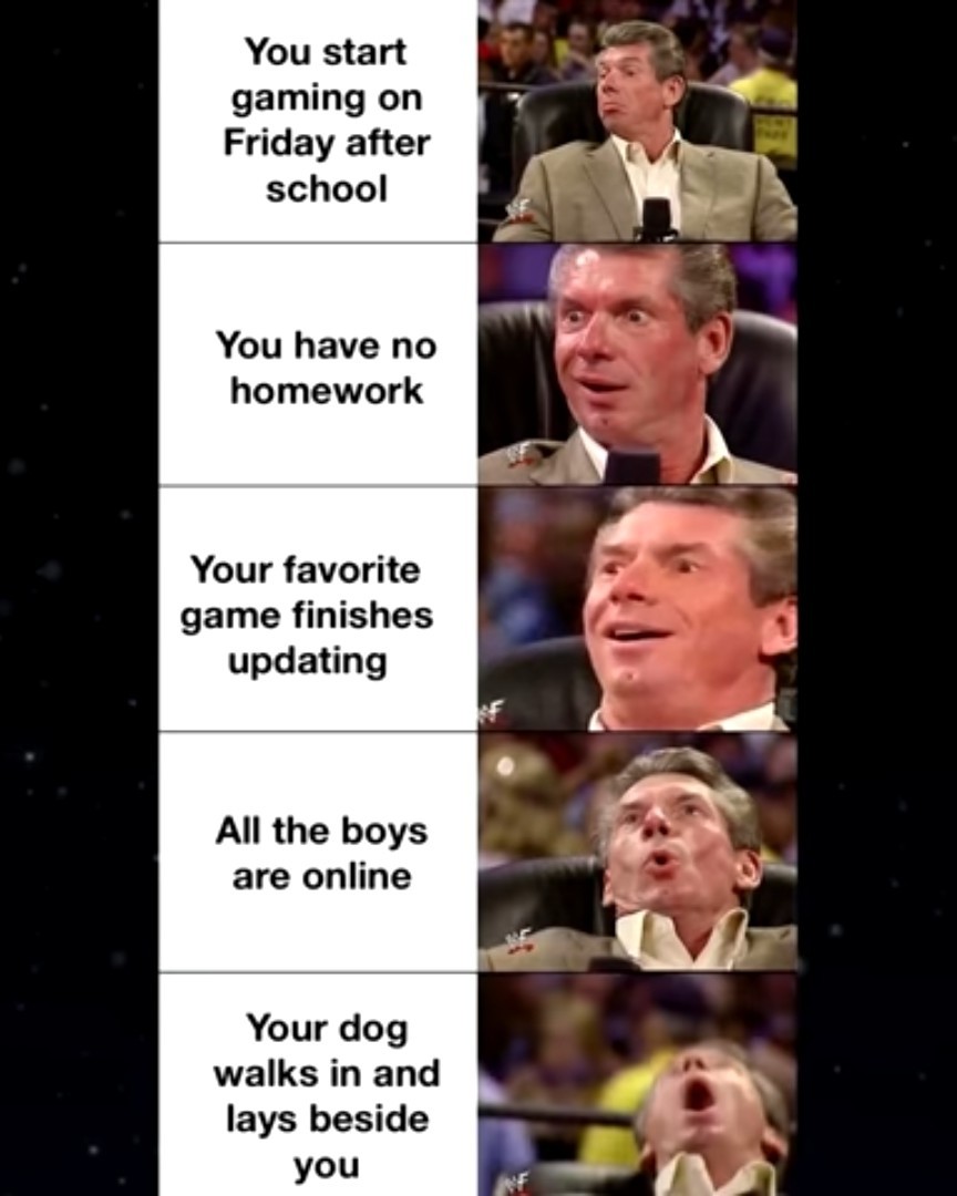 The dog is the best part - meme