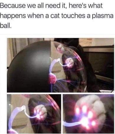 Because we all need it - meme