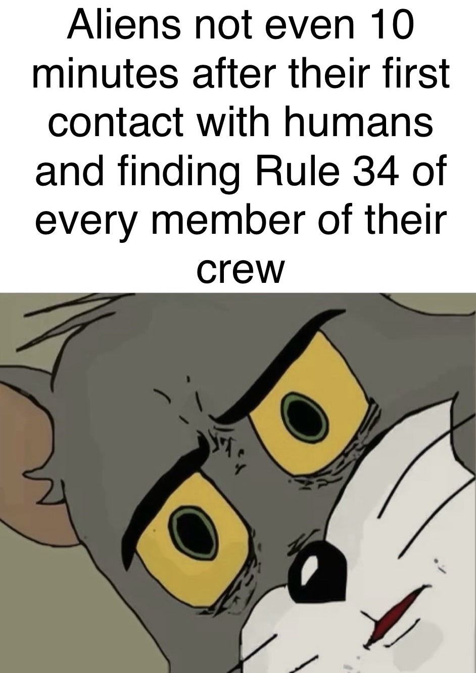 R34 is the second fastest thing in the universe - meme