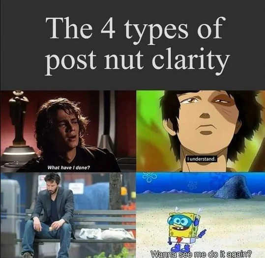 The 4 types of post nut clarity - meme