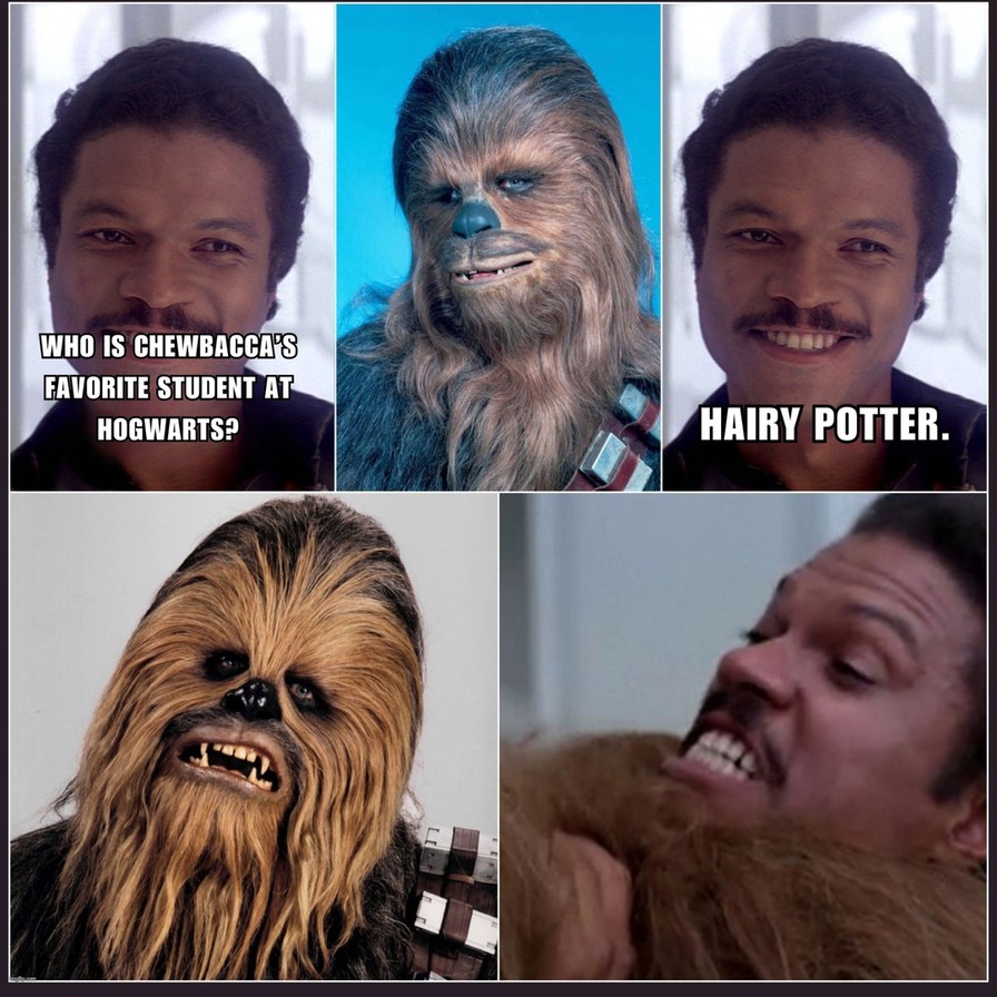 The Hairy Side of the Force - meme