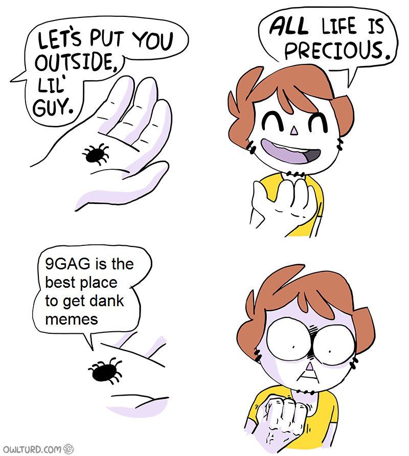 Normie spider - meme