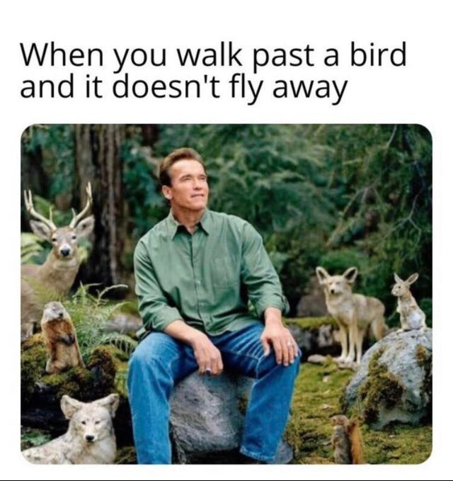 i'm one with the nature - meme