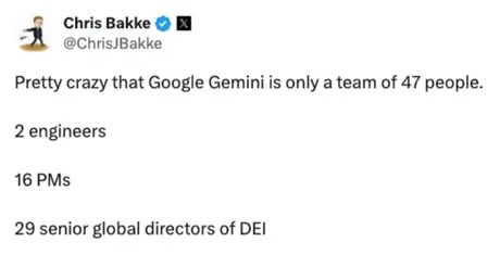 Google Gemini team - meme