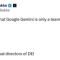 Google Gemini team