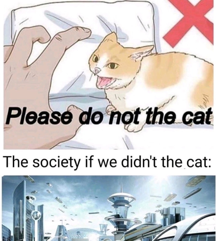 Do not the Wassas cat - meme