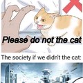 Do not the Wassas cat