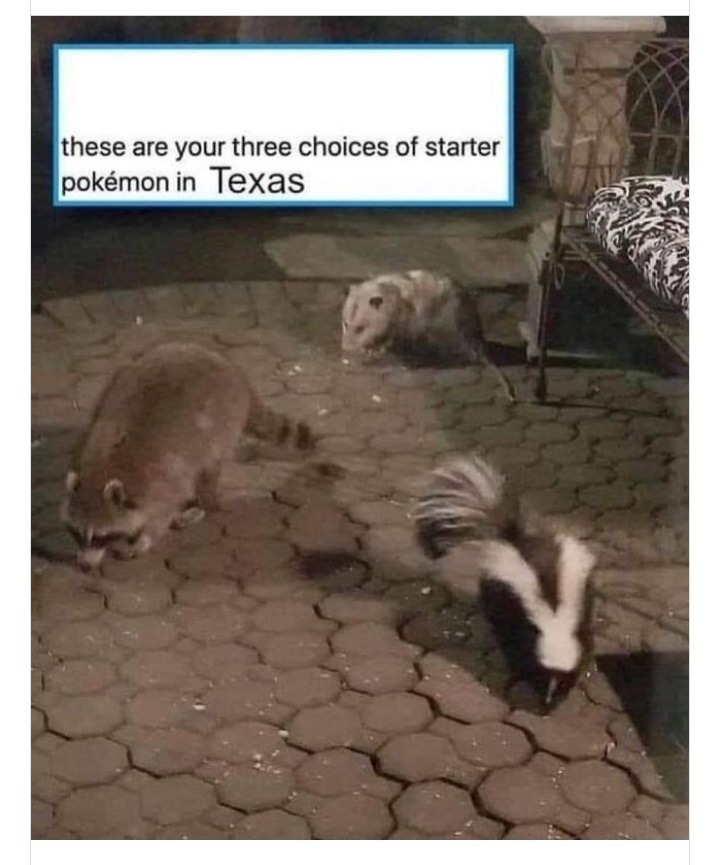 I choose you stink puppy - meme