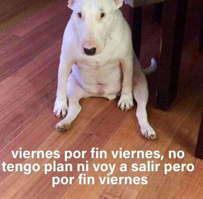 Meme de viernes mis panas