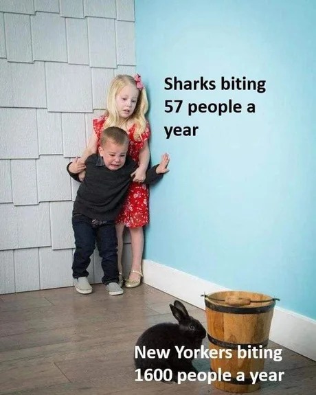 New Yorkers are another species - meme