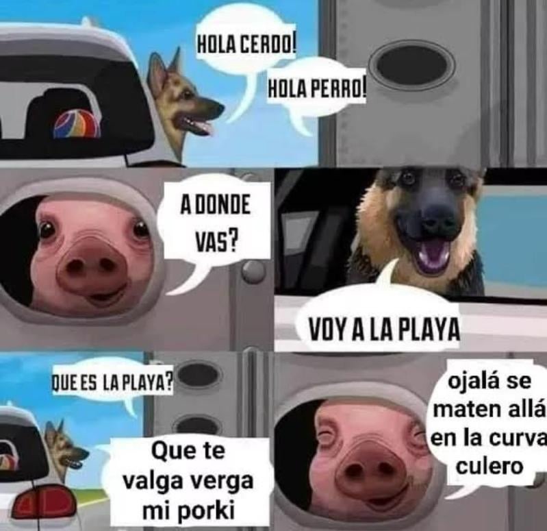 Ojalá se maten allá en la curva culero - meme