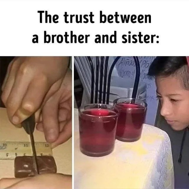 Le partage entre frères et sœurs - meme
