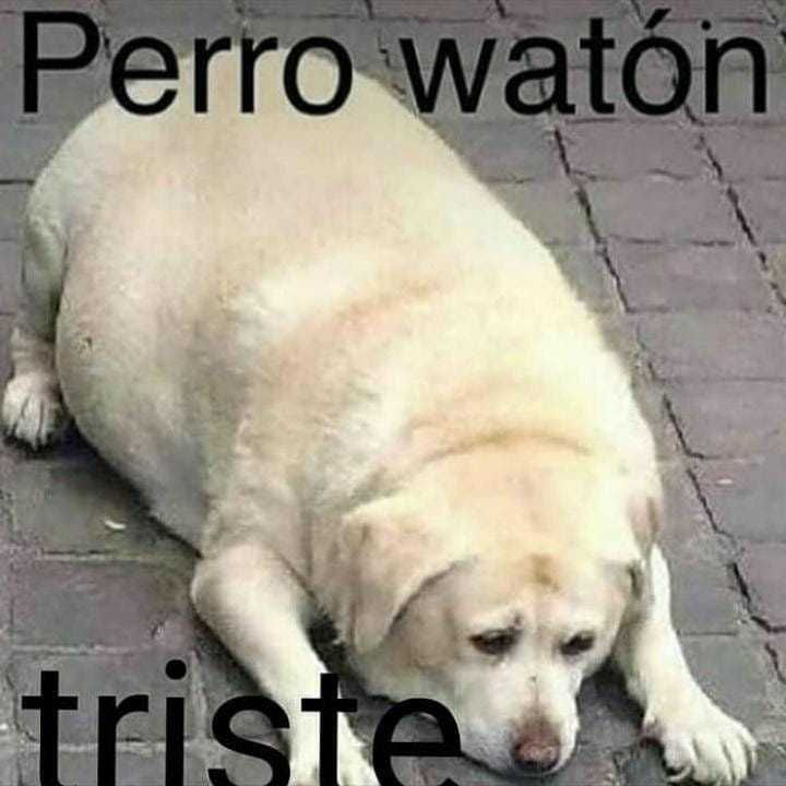 Triste - meme