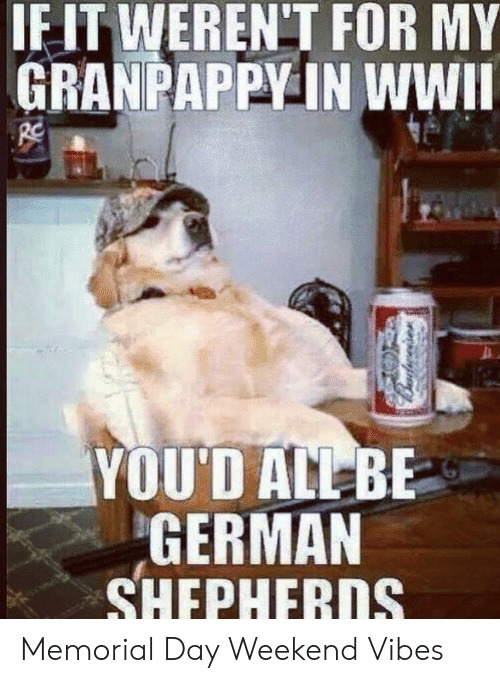 german shepherds - meme