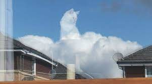 clouds cat - meme