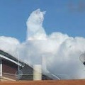 clouds cat
