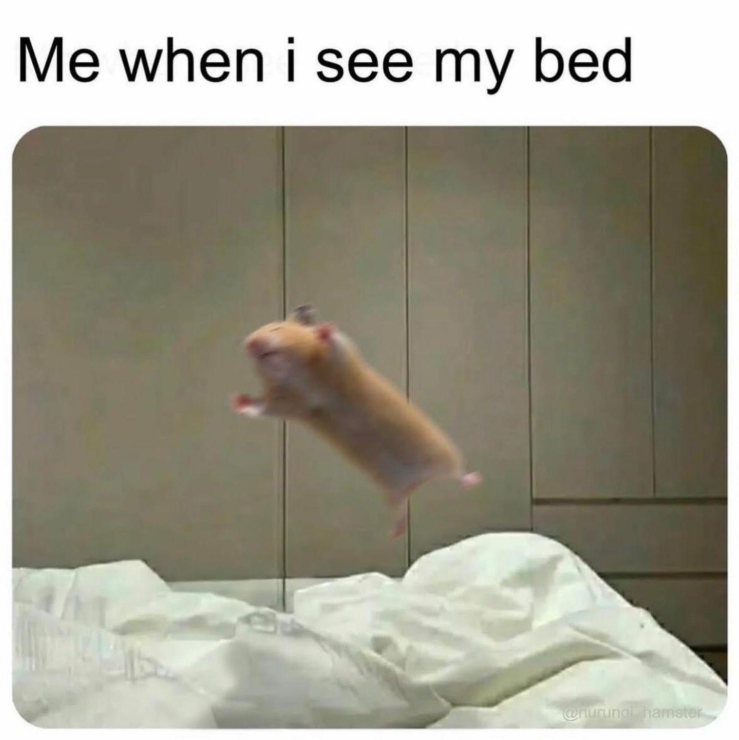 Beeeed - meme
