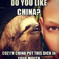 Dirty Sloth