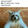 When a racoon gets a job and you dont