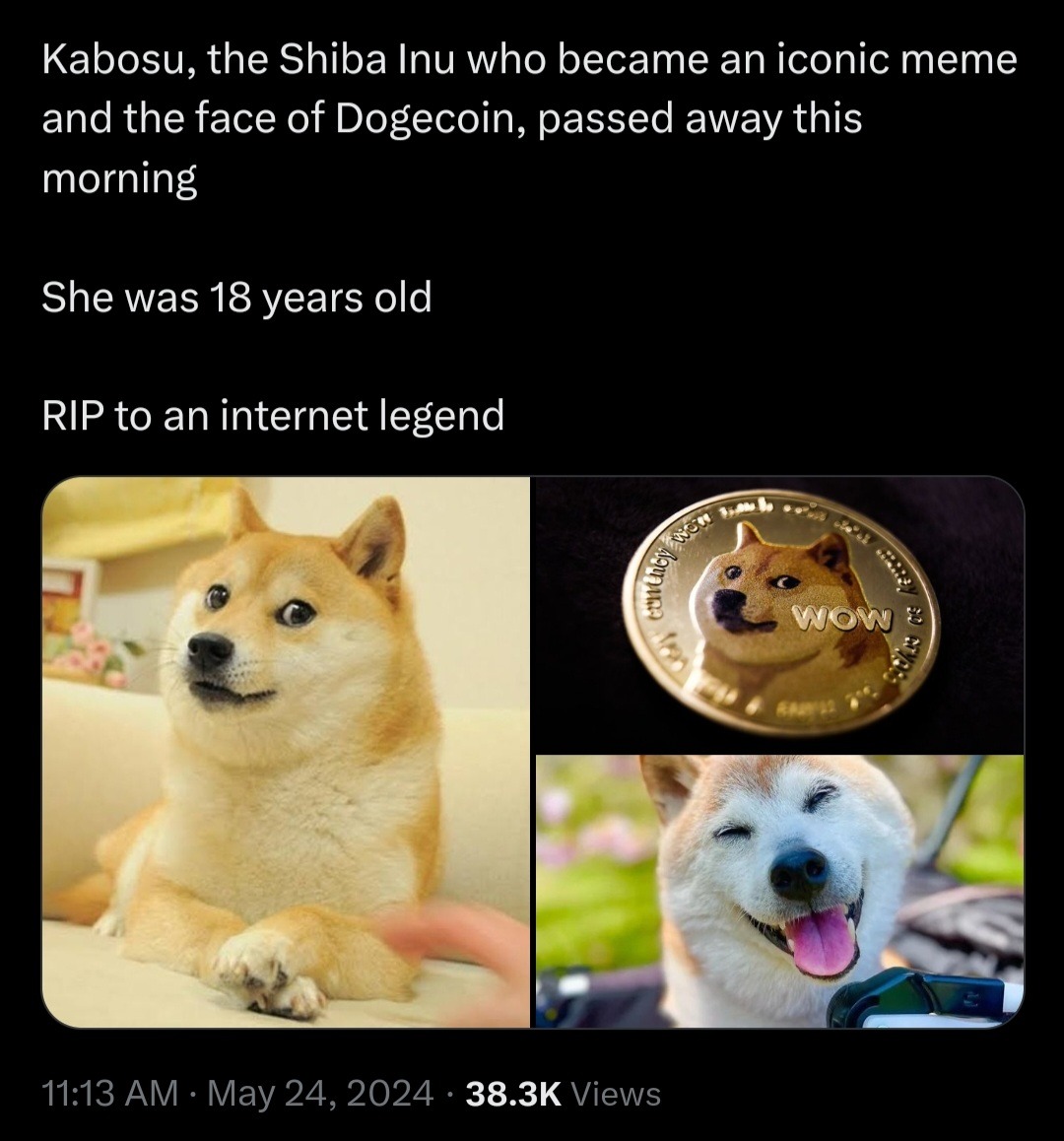 WOW...RIP Doggo. - meme