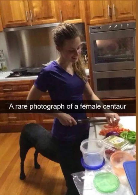Female centaur - meme