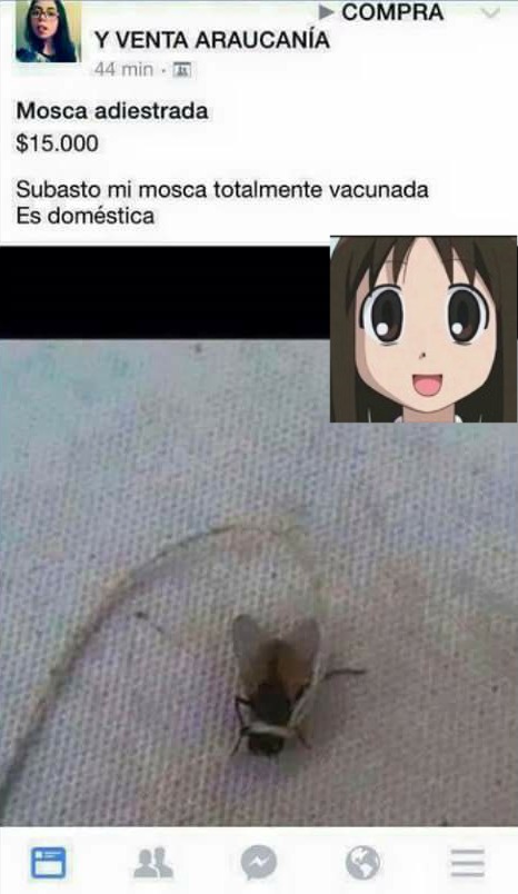 Emprendedores - meme