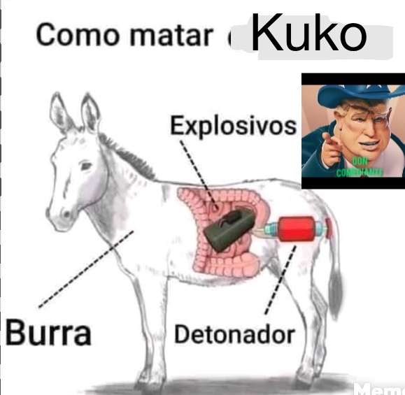 Último meme sobre KUKO