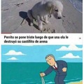 Perro vs Mar