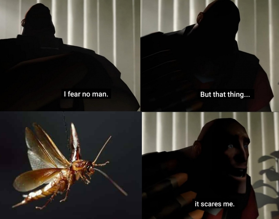 cucarachas volando - meme