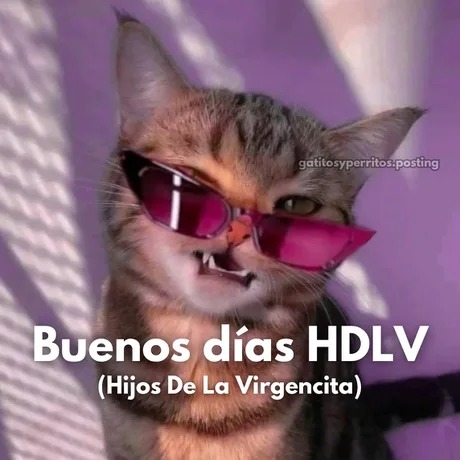 Buenos días HDLV - meme