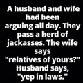 In laws