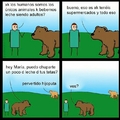 El oso es un crack