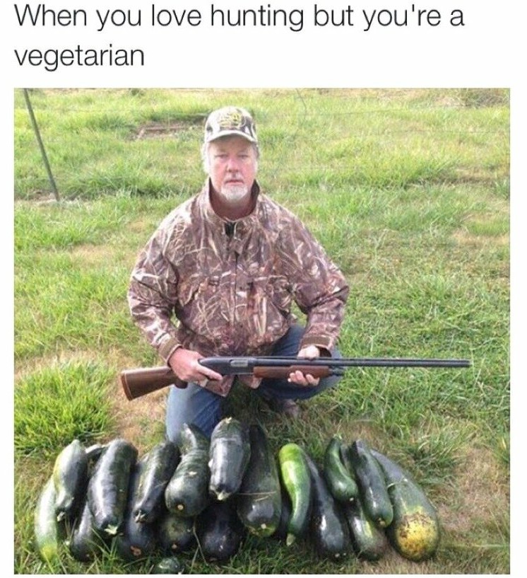 Recently started to try a vegetarian diet - meme