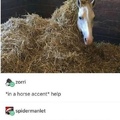 horse gets lost in the sauce