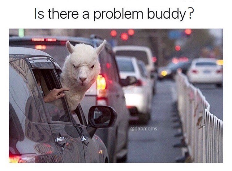 Is there a problem buddy? - meme