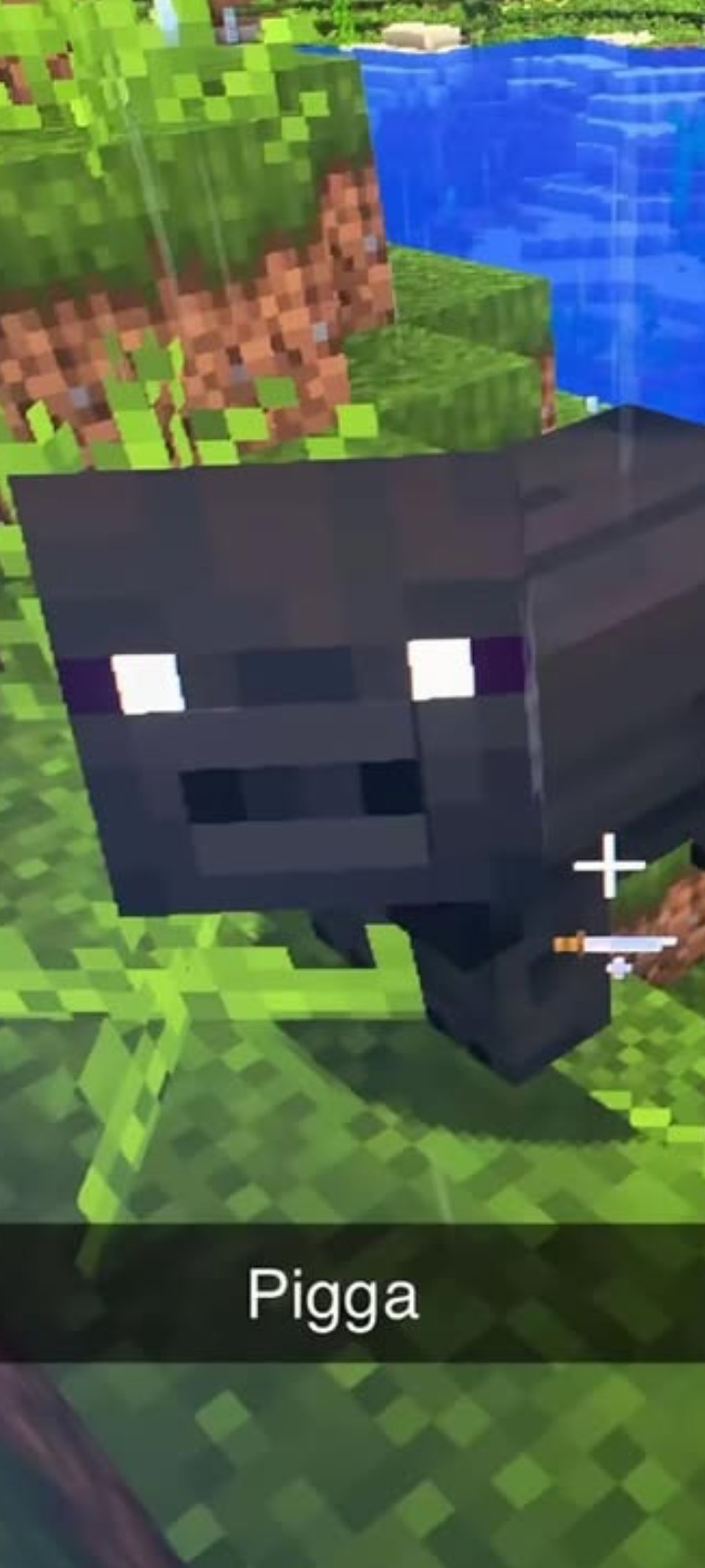 Piggaaaaaaa - meme