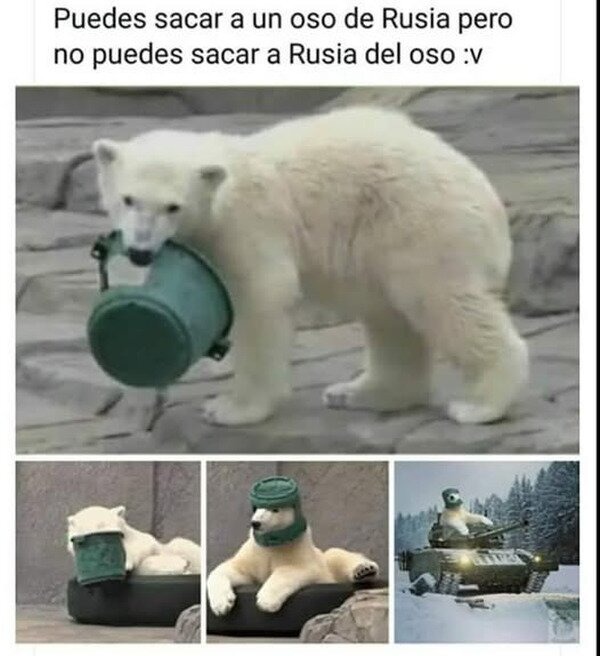 el oso ruso no se va de ti, bro - meme