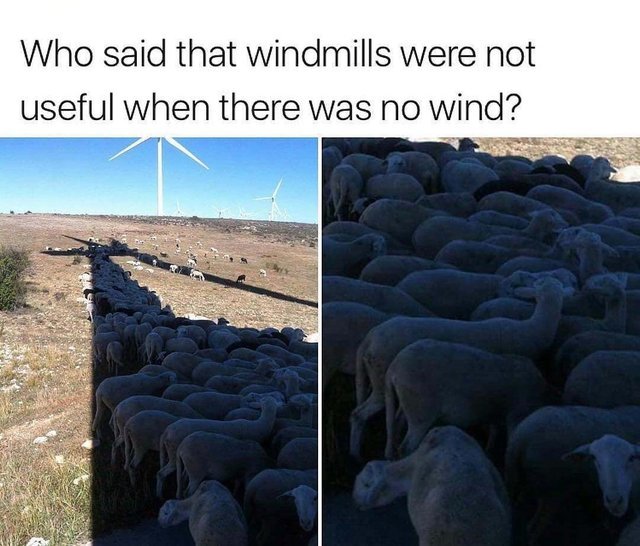 Windmills are also useful when there is no wind - meme